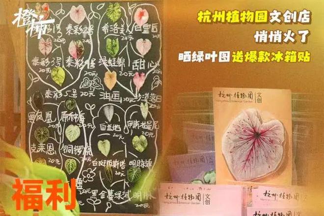 、杭州四时主题丝巾……橙柿福利送不停AG真人澳门百家家乐超萌浙BA周边(图10)