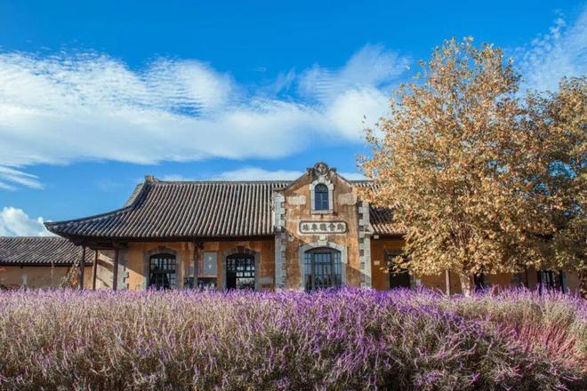 发展典范｜第七届“中国服务”·旅游产品创意案例（48）AG真人国际建水古城小火车：滇南文旅的璀璨明珠与多元(图10)